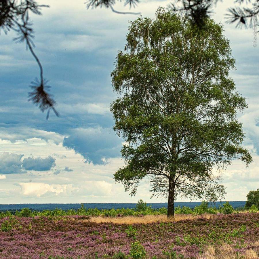 Ferienwohnung Ram 1 Hermannsburg Bagian luar foto