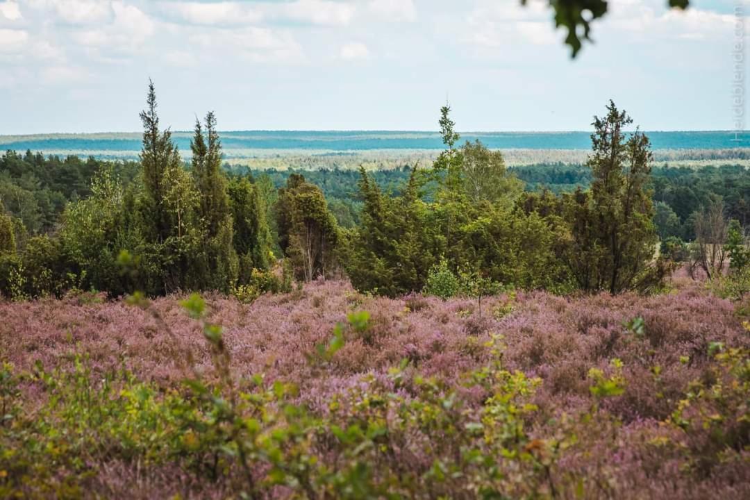 Ferienwohnung Ram 1 Hermannsburg Bagian luar foto